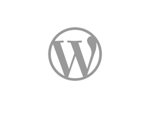 png file used as input for the cork height field object